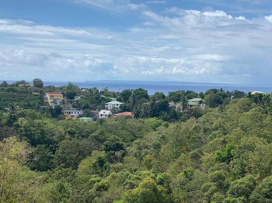 Les Villas Du Bambou - Villa Bambou Jusqu'A 6 Pers Le Gosier  Kültér fotó